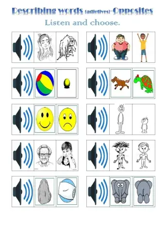 Describing words-adjetives