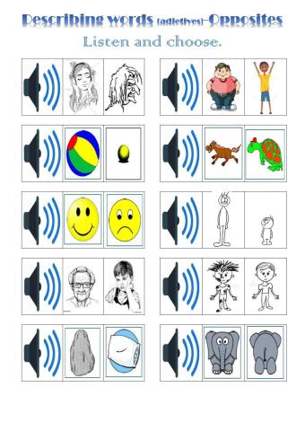 Describing words-adjetives