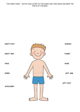 Hockey Pockey Parts of the Body