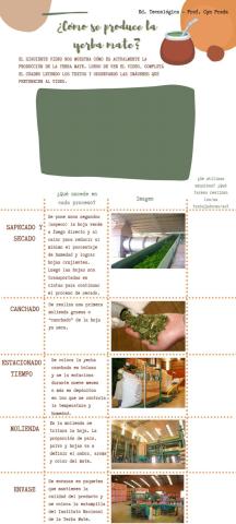 Producción de lla yerba mate