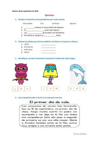 Ejercicios con sustantivos, sílabas y lectura