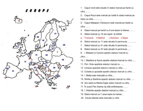 Fisa de lucru-articulațiile țărmului