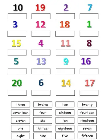 Number the words under the picture