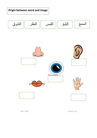 الحواس الخمسة