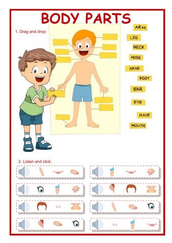 Body Parts