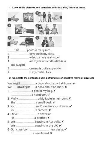 Have got and has got