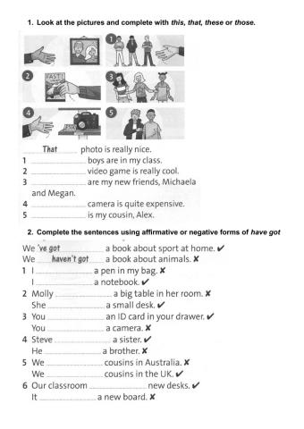 Have got and has got