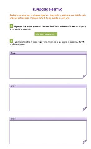 El proceso digestivo
