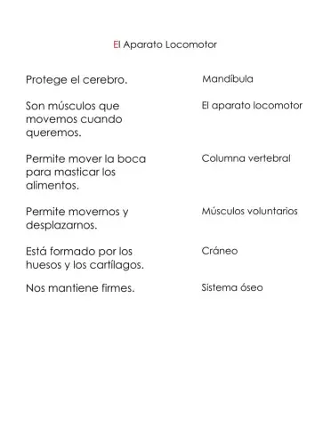 El sistema locomotor