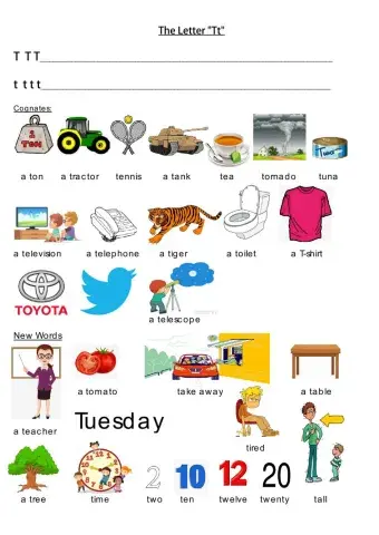 Goals 1, The Letter Tt, Dina Shterengas.