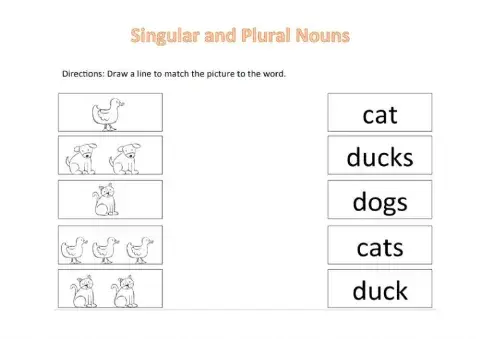 Singular and Plural