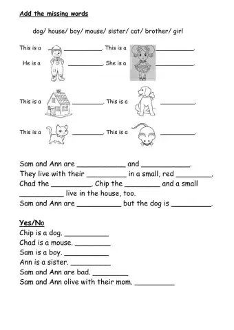 Vocabulary Sam and Ann