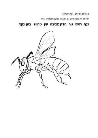 דבורה