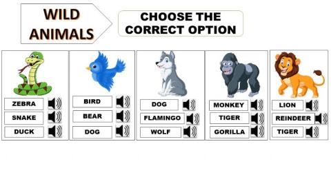 Wild animals- choose the correct option
