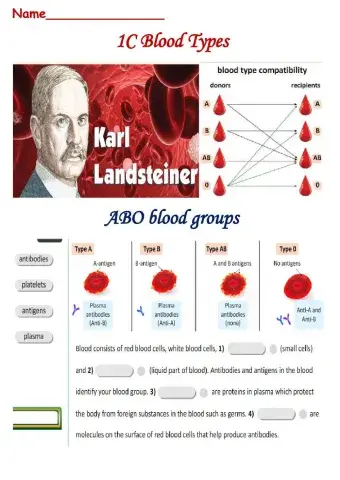 Action 11  C-Blood Types. Made by Zhanar Habibullina