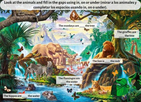 Animals in the jungle