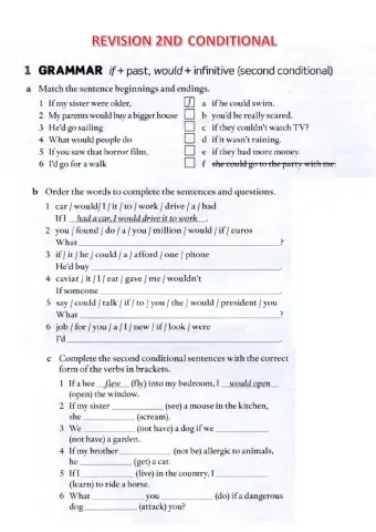 Revision second conditional