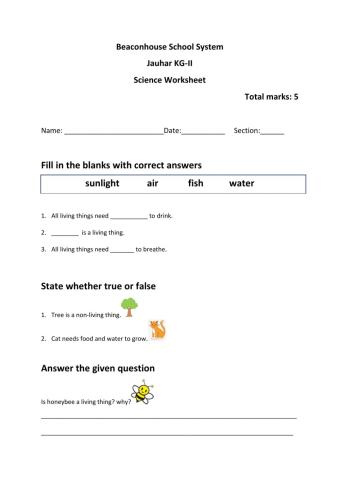 Living and non living things