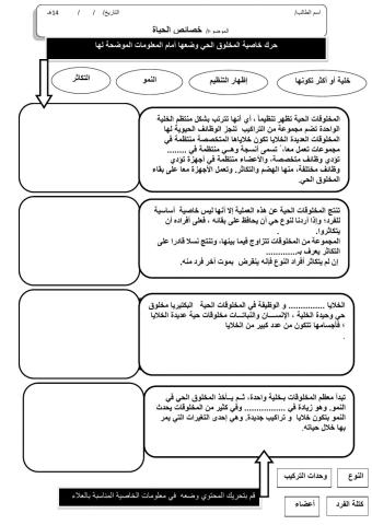ورقة 2تفاعلية1