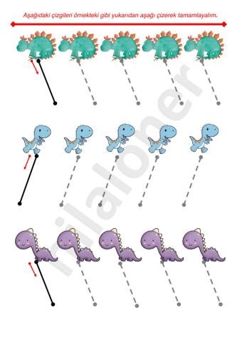 Çizgi çalışması