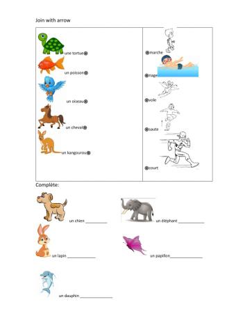 Vocabulaire les animaux et les verbes