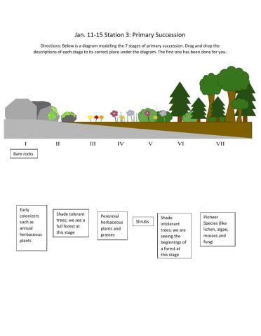 Primary Succession