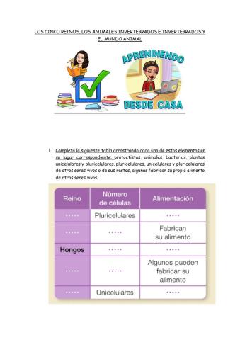 Reino de los animales