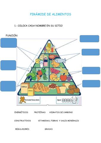 Pirámide de alimentos