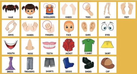 Vocabulary body - clothes