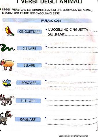 L'USO DEL VERBO NELLA FRASE