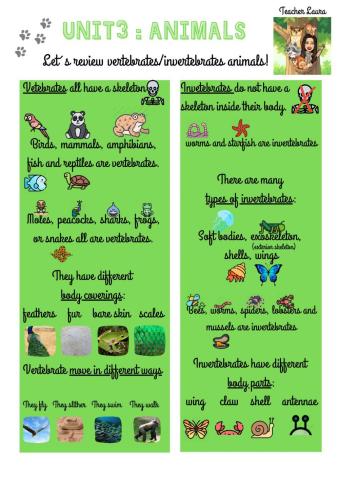 Unit 3: Animals