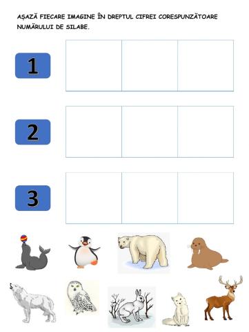 Câte silabe au... animalele polare?