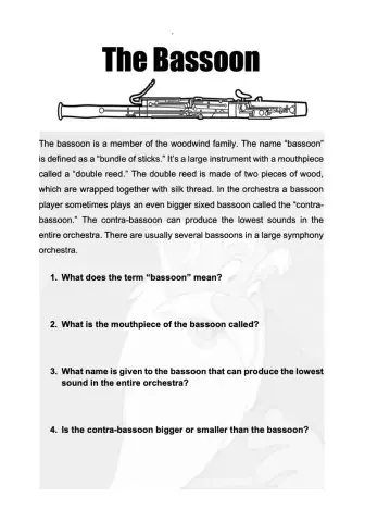 Peter and The Wolf - The Bassoon