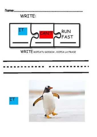 Unit 2  unit 2 CAN'T