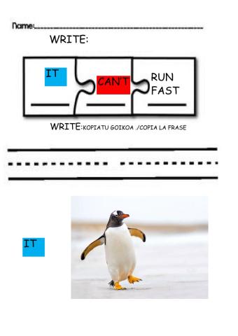 Unit 2  unit 2 CAN'T