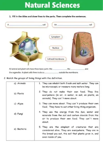 The Cell and Kingdoms