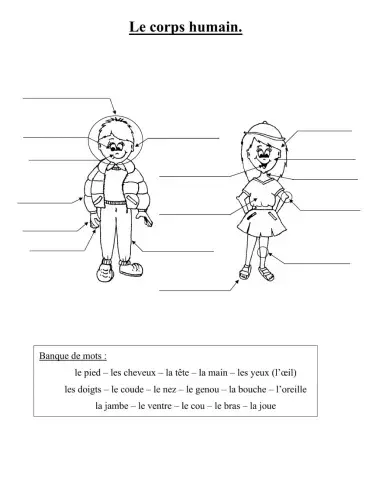 Le corps humain