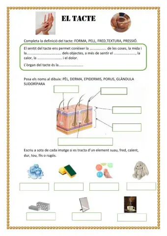 El tacte