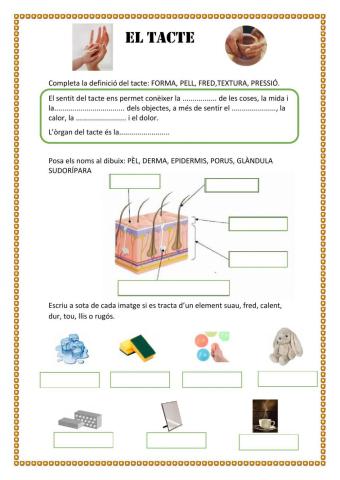 El tacte