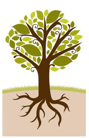 Mis raíces familiares