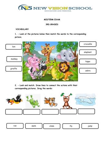 Midterm exam 3rd grades