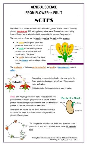 From Flower to Fruit NOTES