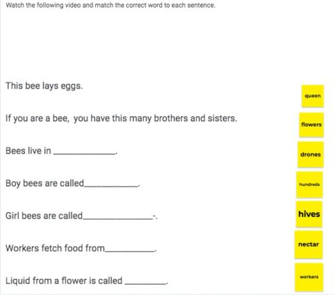 Honey bee comprehension