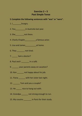 Exercise 2.5 Past Simple
