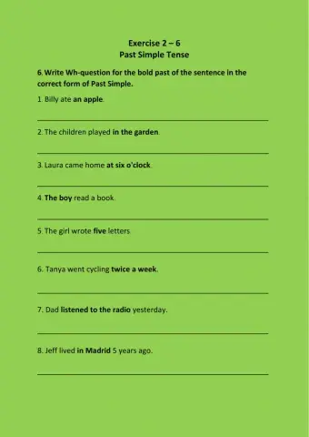 Exercise 2.6 Past Simple