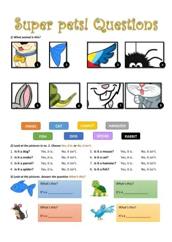 Super pets - questions