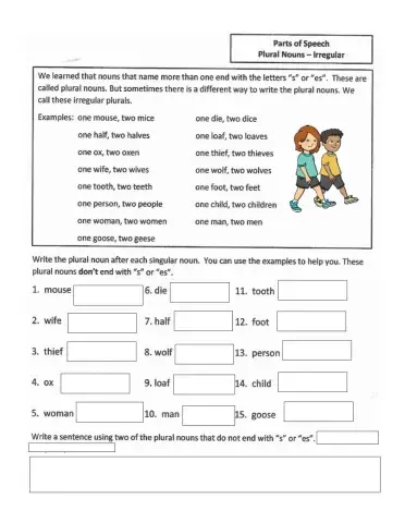 Irregular plural nouns 1