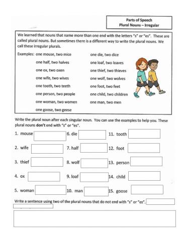 Irregular plural nouns 1