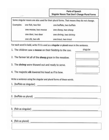 Irregular plural nouns 2