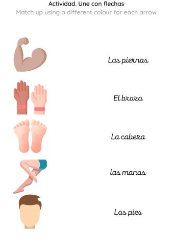 Partes del cuerpo 1